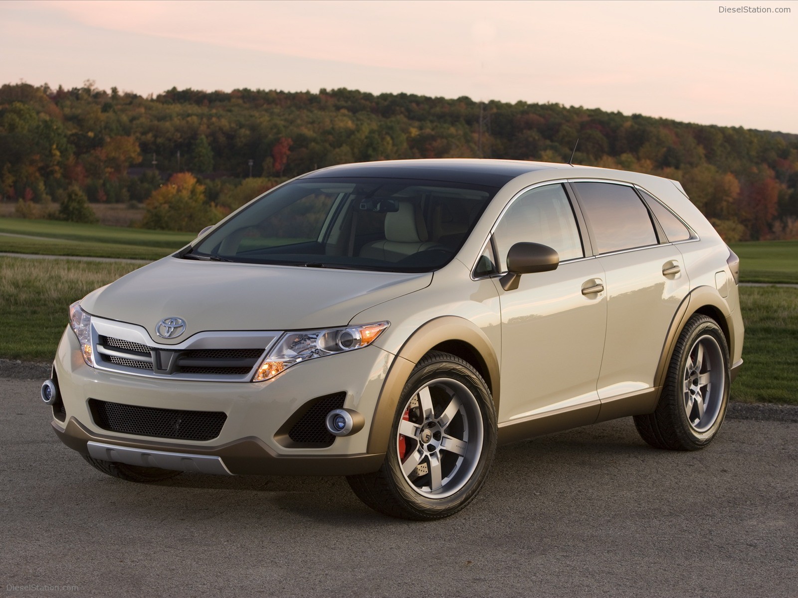 TOYOTA VENZA 2009 